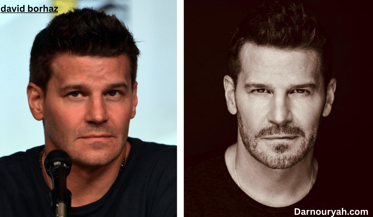 david borhaz