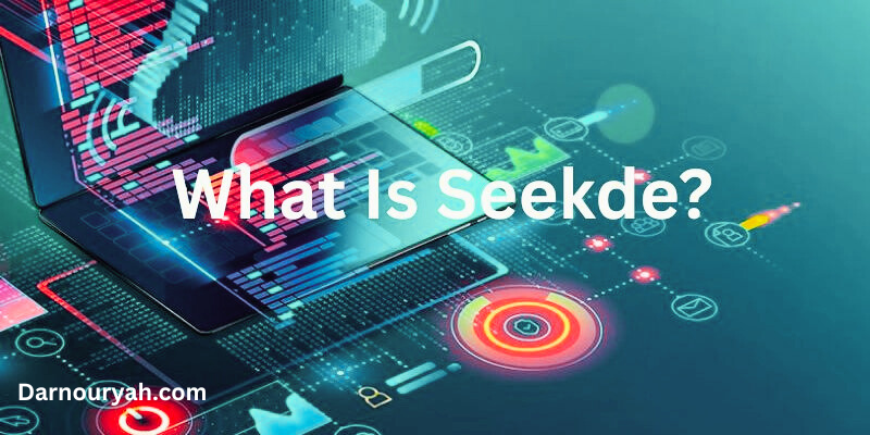 Why Seekde is Revolutionizing Online Searches seekde