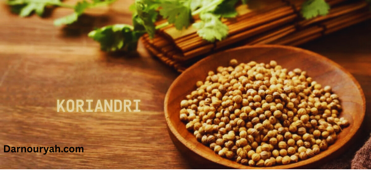 The Health Benefits of Koriandri: Why You Should Add It to Your Diet koriandri