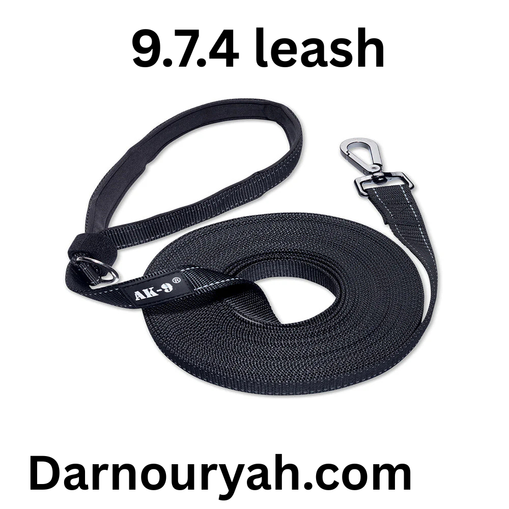 9.7.4 leash
