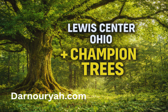 Top 5 Champion Trees You Must Visit in Lewis Center, Ohio lewis center ohio champion trees