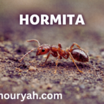 hormita